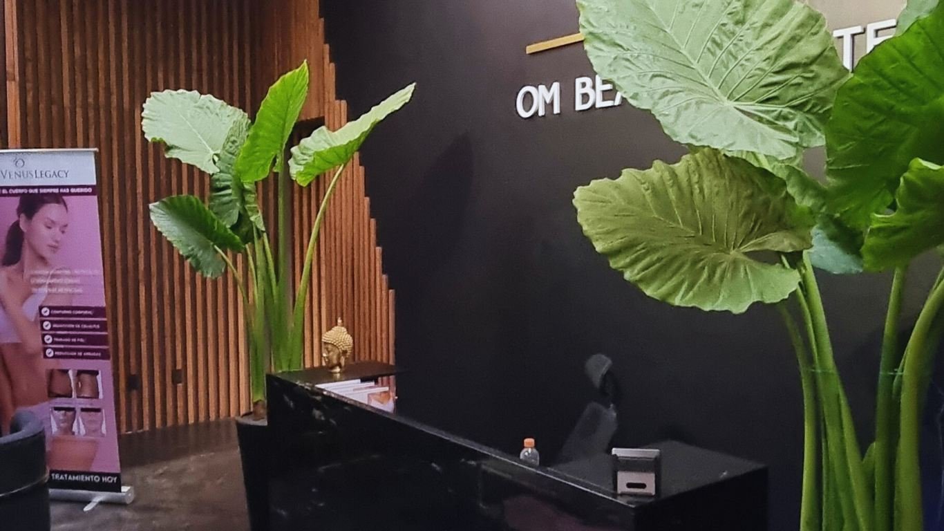 Plantas en oficina CDMX