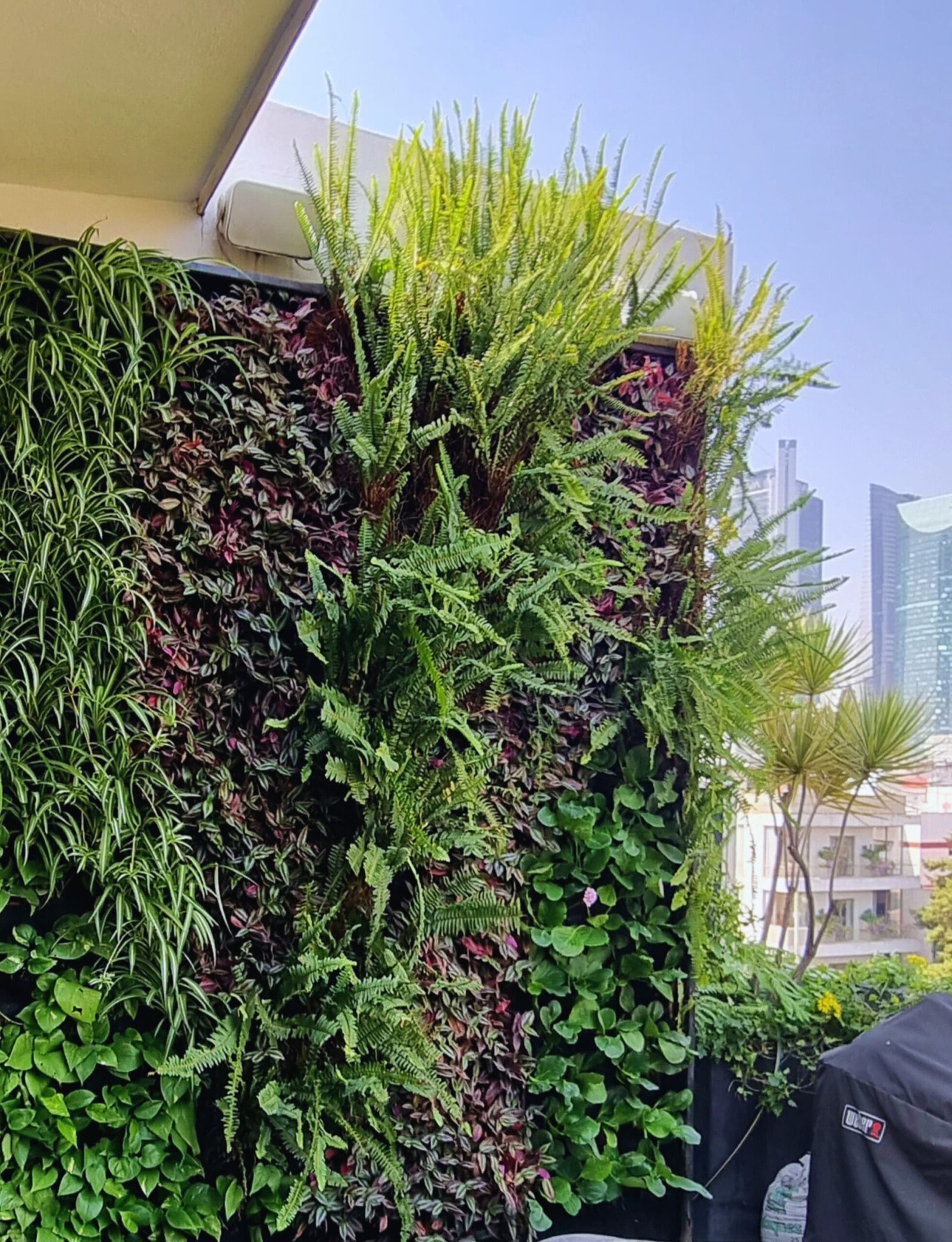 Jardín Vertical CDMX