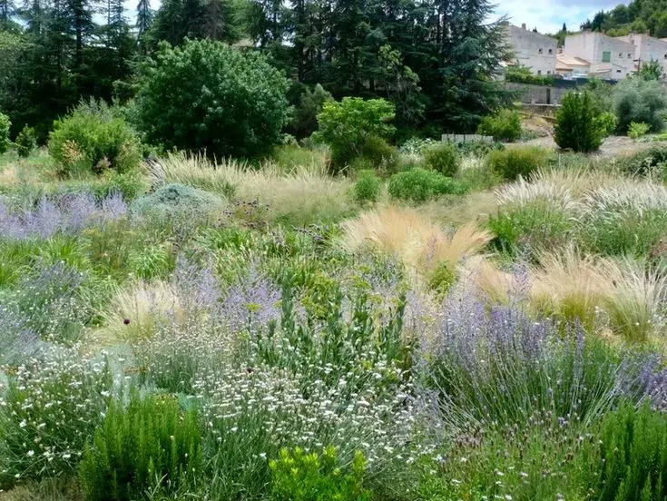 Jardín Naturalista