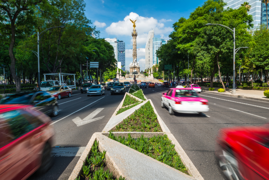 Paisajismo CDMX