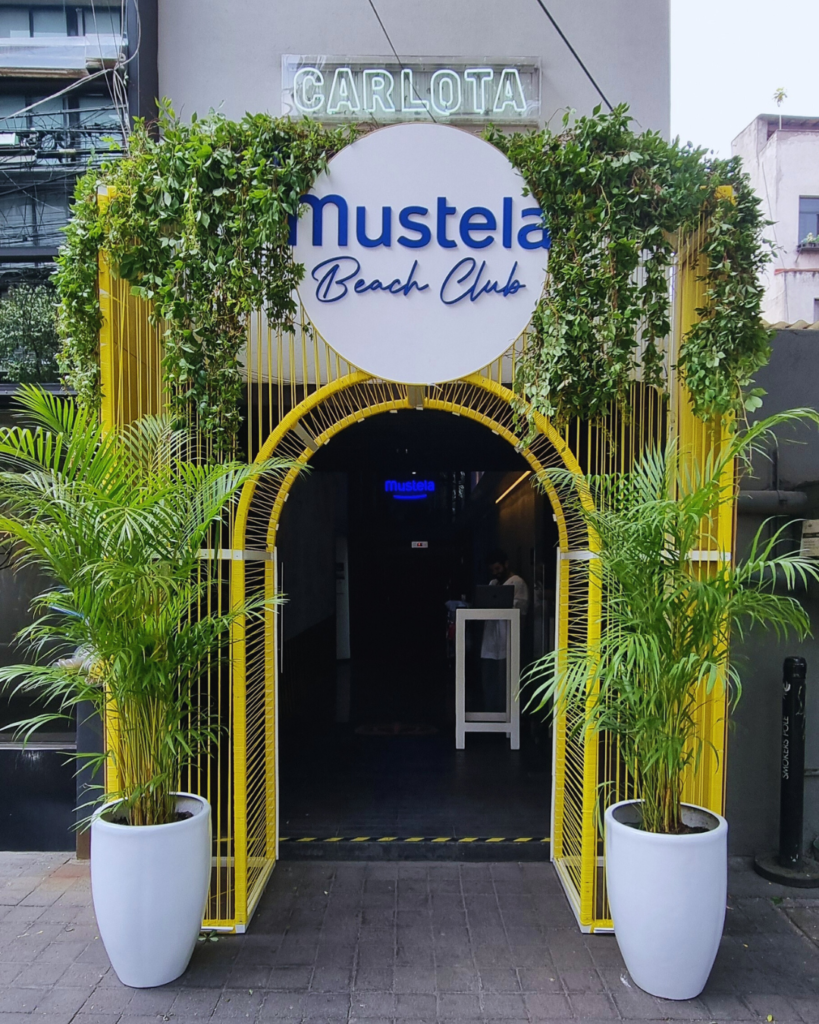 Paisajismo para eventos. Activaciones de marca, decoración natural CDMX
