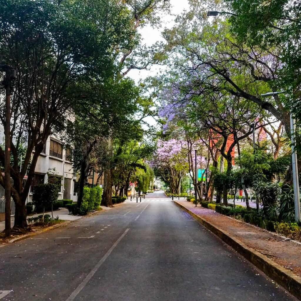 Paisajismo CDMX