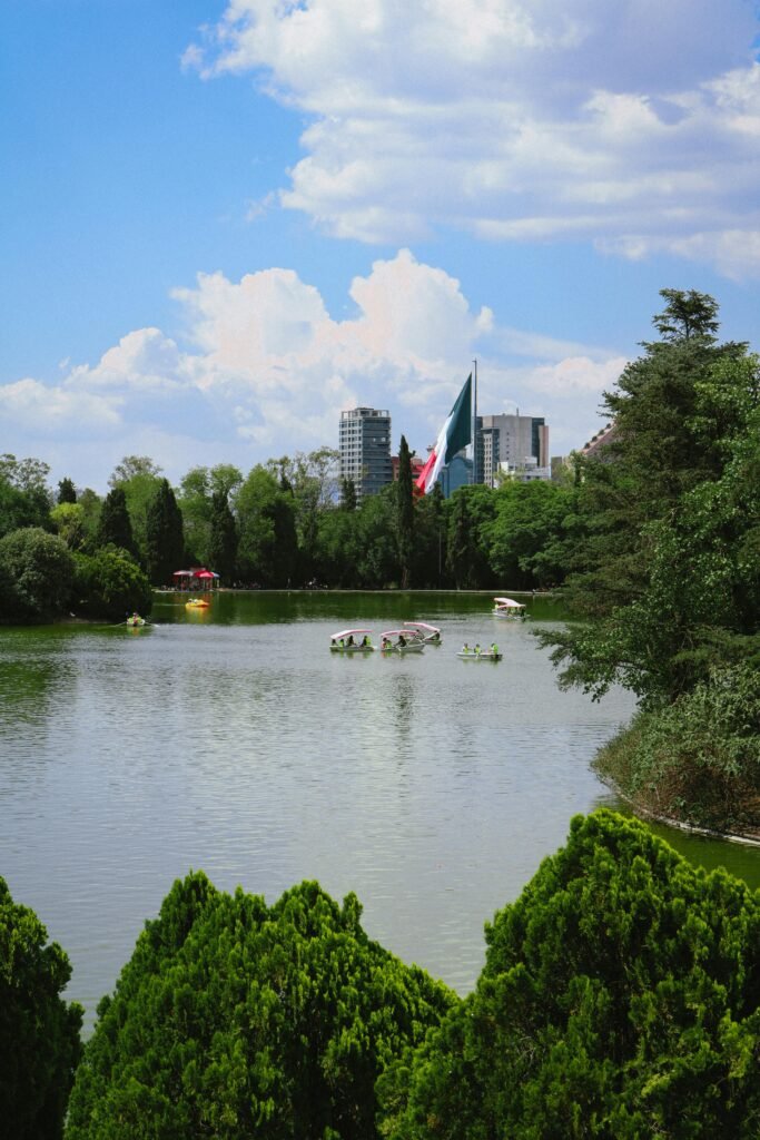 Paisajismo CDMX